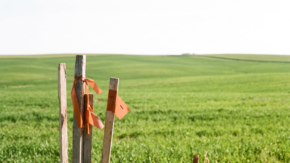 A survey stake with a marking flag in an open farm field