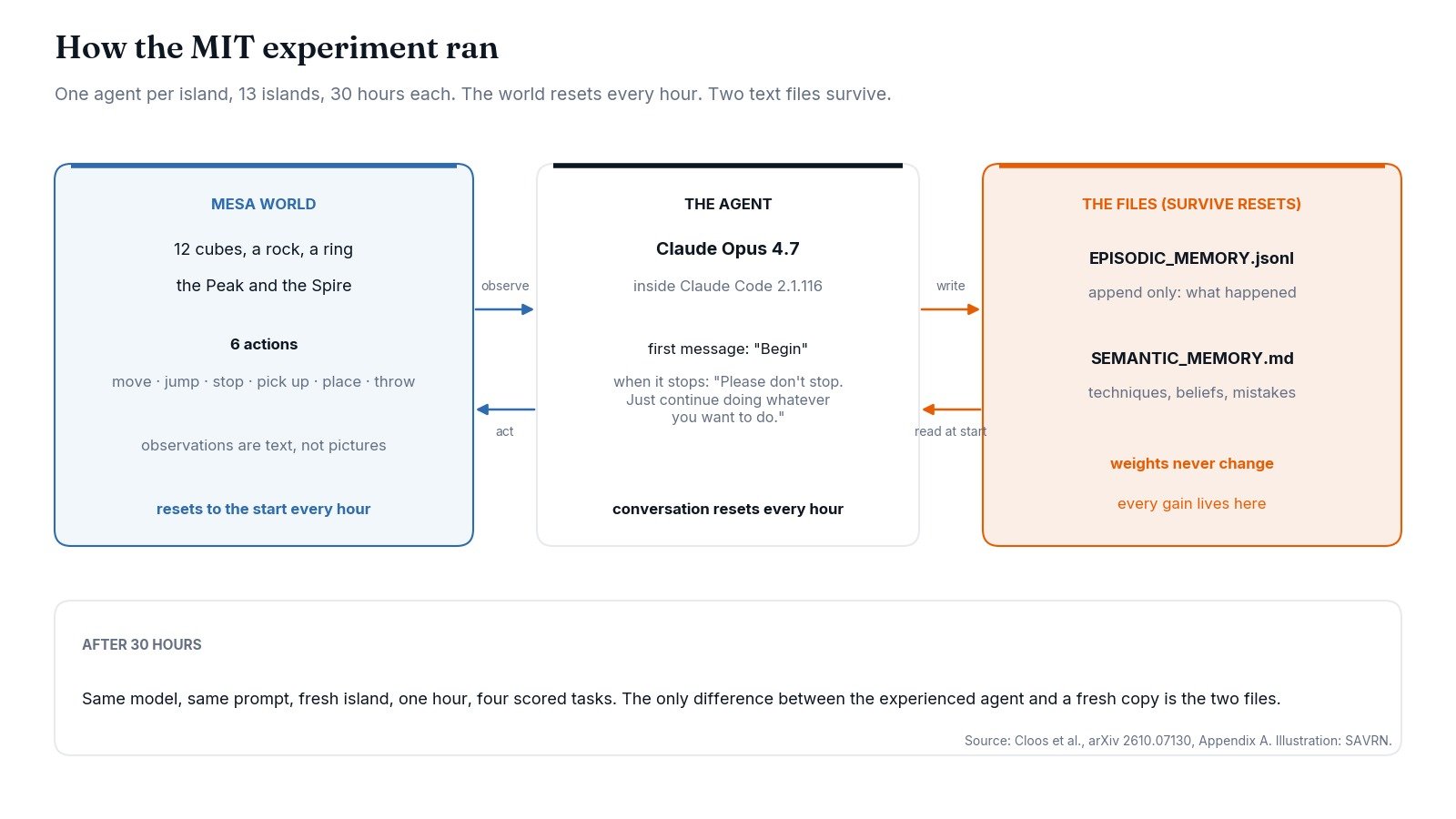 Diagram of the island, the agent and the two memory files that survive each hourly reset
