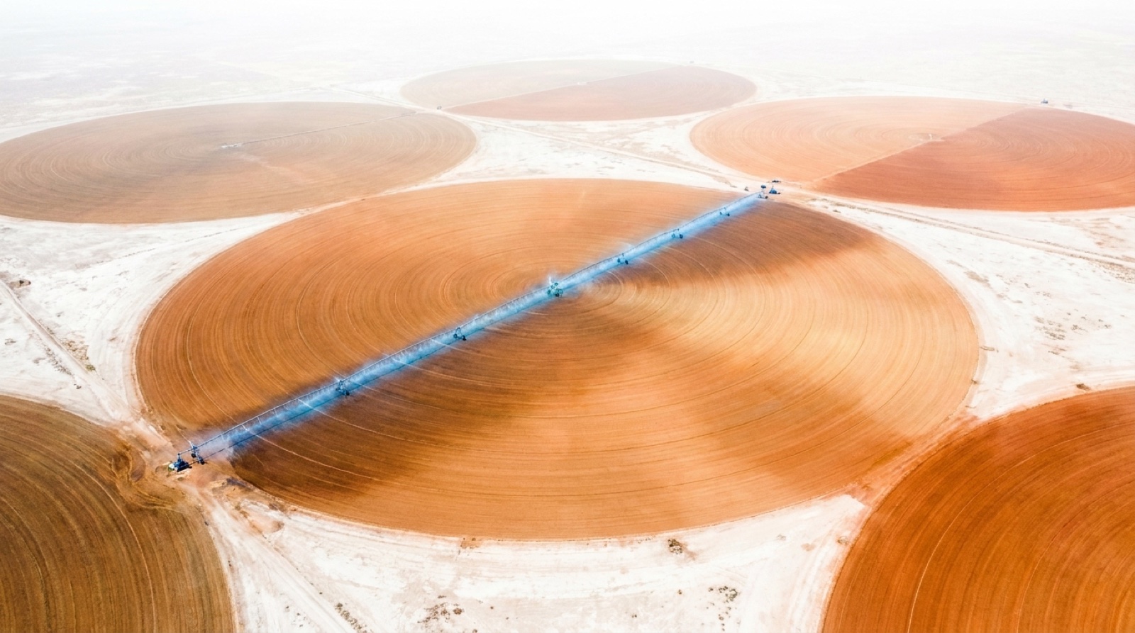 Aerial view of center-pivot crop irrigation circles spraying water, agricultural irrigation uses 49 percent of Texas water
