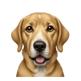 Guannan Lai logo