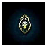 Anuj Patel logo