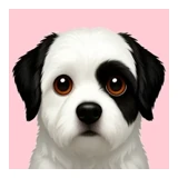 Akihiro Sakurai logo