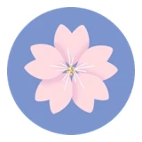BigScience Workshop logo