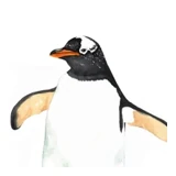 Bloomer logo
