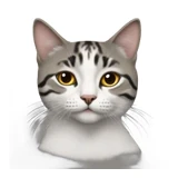 CaoHaoWei logo