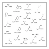 Computational Metabolomics Research Group logo