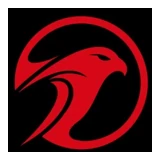 Falcons.ai logo