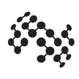 Institute of Foundation Models logo