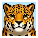 Jarrod Pflum logo