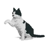Jun Kim logo