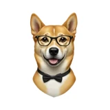 Kevin Cai logo