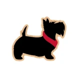 Looni Lab logo