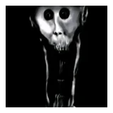 Vince fool logo