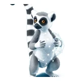 LEMUR NN Dataset logo