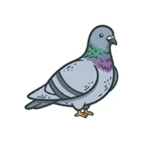 PIGEONS logo