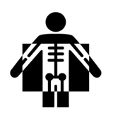 Pulmo - The AI Radiology Assistant logo