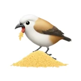 Tran Tay logo