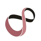 RSI-Exam logo