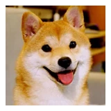 Wenhao Yu logo