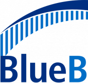 BlueBridge Networks logo